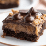 Reese’s Peanut Butter Earthquake Cake