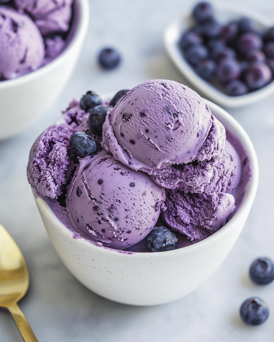Homemade No Churn Blueberry Ice Cream