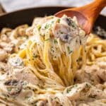 Creamy Chicken Fettuccine Alfredo Recipe