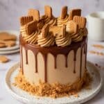 Vegan Biscoff Cake with Fluffy Biscoff Sponge and Rich Biscoff Buttercream Recipe