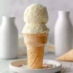 Sugar Free Vanilla Ice Cream Recipe