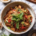 20 Minute Honey Garlic Chicken Udon Noodles Recipe