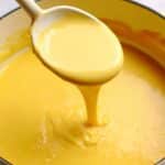 Veggie Cheese Sauce Recipe