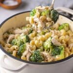 Creamy Cottage Cheese Mac and Cheese with Chicken and Broccoli Recipe