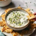 High Protein Sour Cream & Onion Dip Recipe
