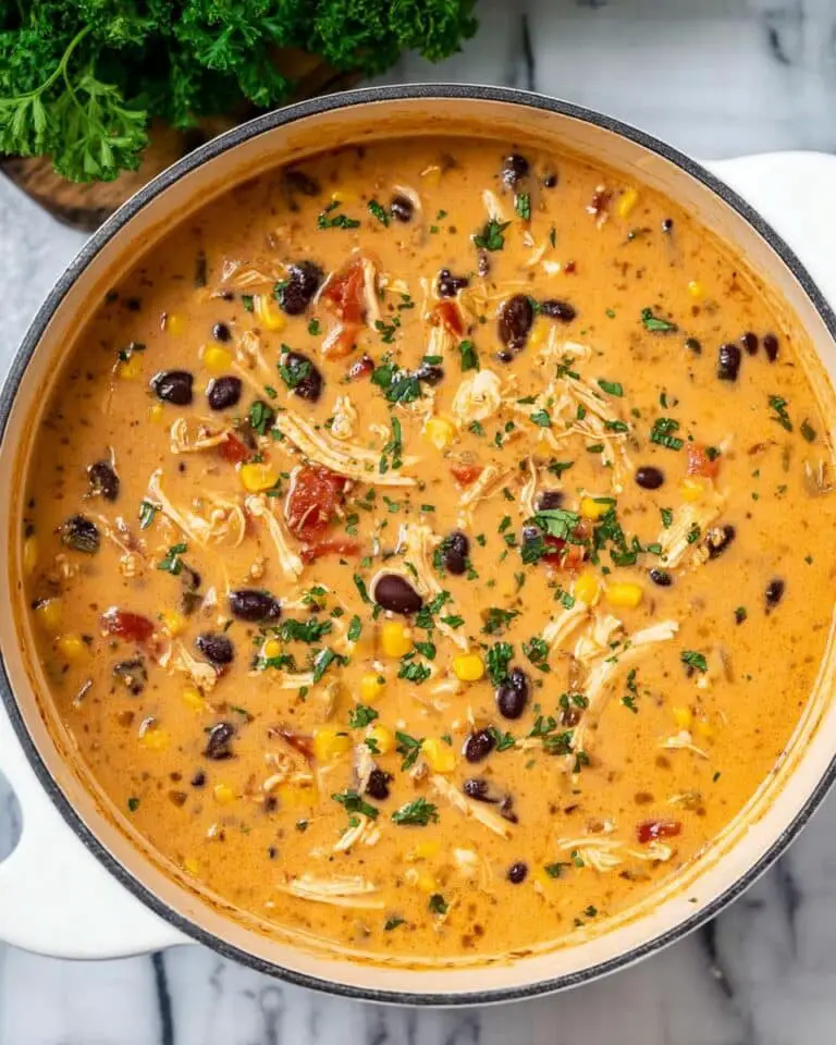Creamy Chicken Enchilada Soup Recipe