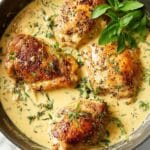Creamy Herb Chicken Recipe