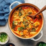 Red Curry Dumpling Soup Recipe